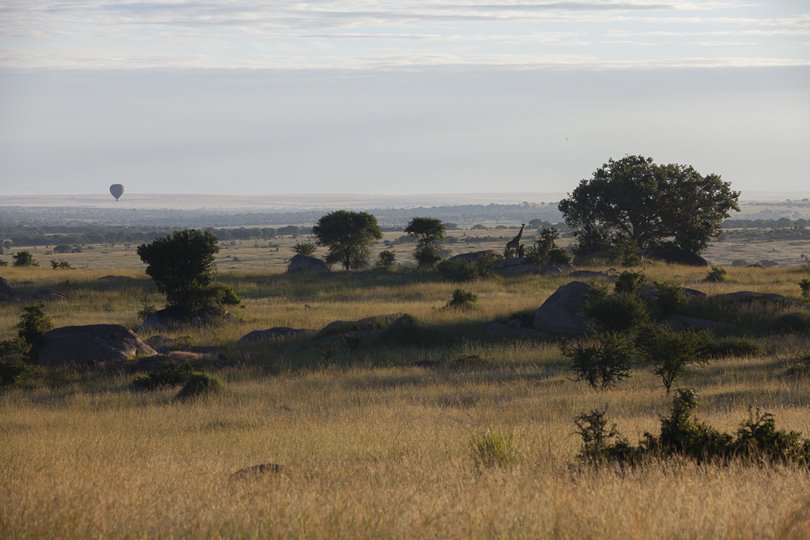 Serengeti Sayari Camp