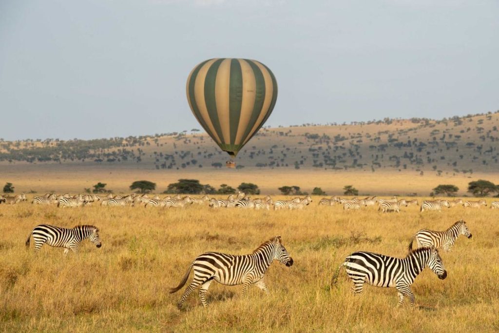Serengeti Ballonvlucht