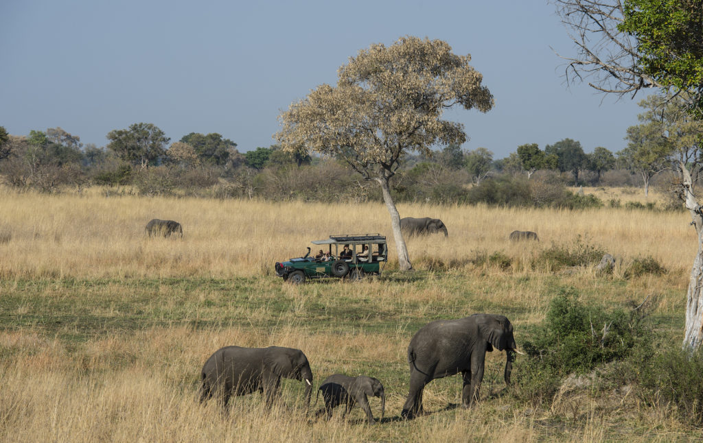 Okavango Delta Game Drive