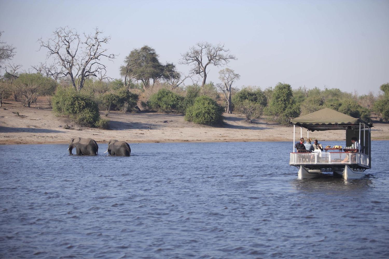 Chobe National Park | Exclusieve Safari's | Hoogtepunten | Oryx Travel