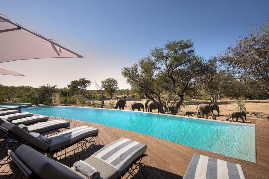 Timbavati Game Reserve Krugerpark Lodge