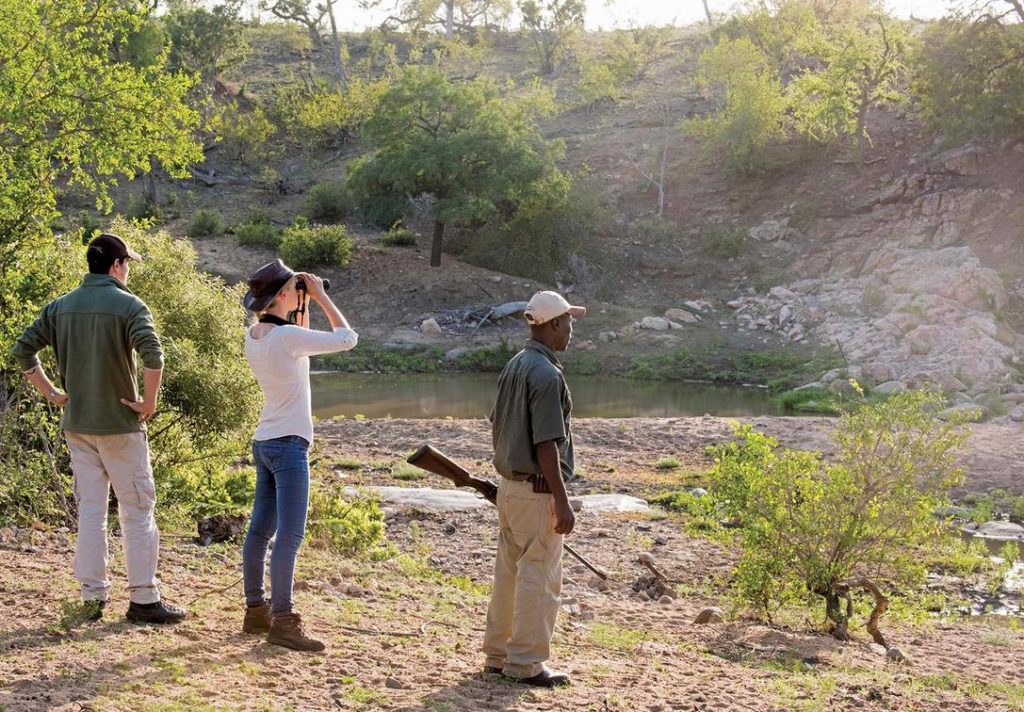 Kruger National Park Wandelsafari