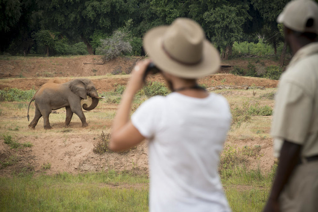 Kruger National Park Safari