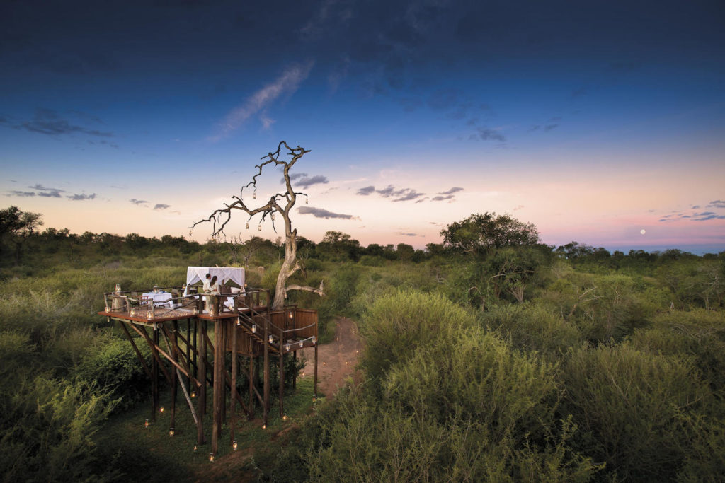 Sabi Sand Krugerpark